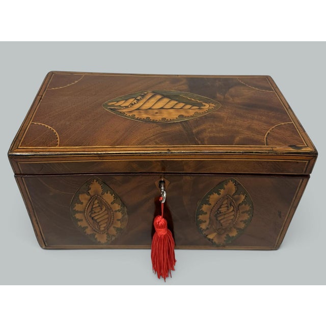 Traditional Antique Georgian Mahogany Satinwood Inlaid Jewelry Cigar Conch Shell Casket Box For Sale - Image 3 of 9