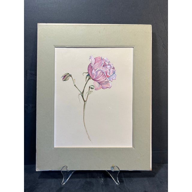 Very fine, vintage, gouache painting of a pink rose. Very small signature on the bottom of the stem ‘A Lomar’. Matted and...