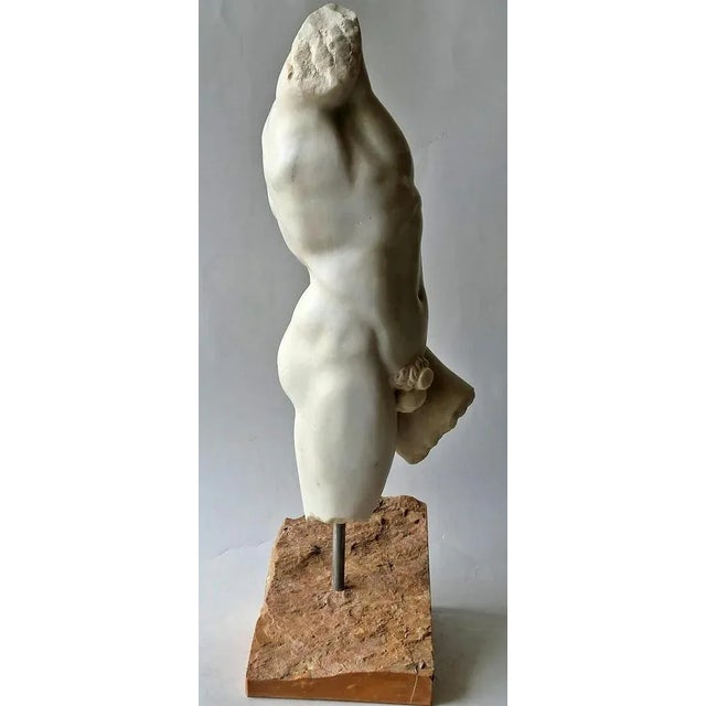 Early 20th Century Italian Torso Carrara Marble For Sale - Image 5 of 7