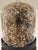 Cabinet of Curiosities Glass Cloche With Bird’s Nest Wrapped in Dried Gypsophila on Decorative Asian Wooden Stand For Sale - Image 13 of 15