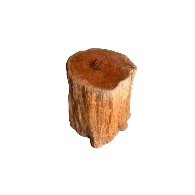 Wood Side Table Solid Lychee Wood Natural Finish Modern Organic For Sale - Image 7 of 7