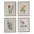 Framed Vintage Botanical Prints Set of 4 1953 Prints For Sale