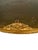 Late 19th Century French Rococo Ormolu Plateau Mirror Tray For Sale - Image 10 of 11