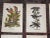 This set of twelve (12) chromolithographs (each color laid in with a separate lithographic stone) were printed in the USA...