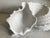 Late 20th Century White Resin Large Shell For Sale - Image 9 of 10