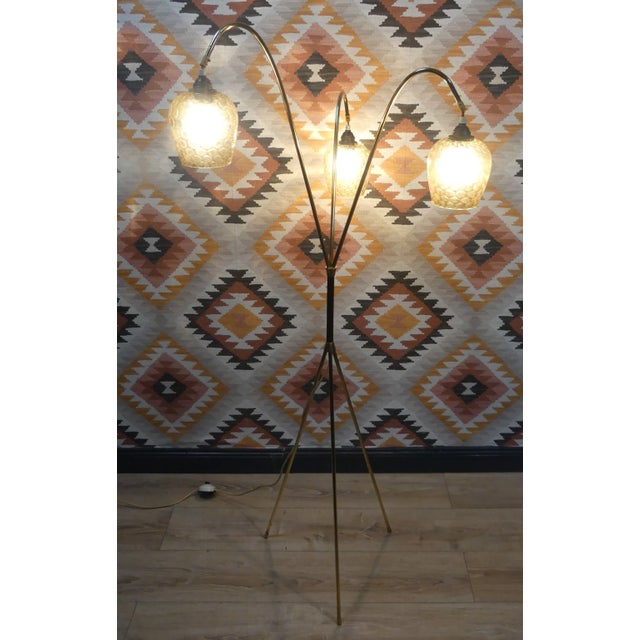 Mid-Century Tripod Floor Lamp in Brass & Glass, 1950s For Sale - Image 6 of 13