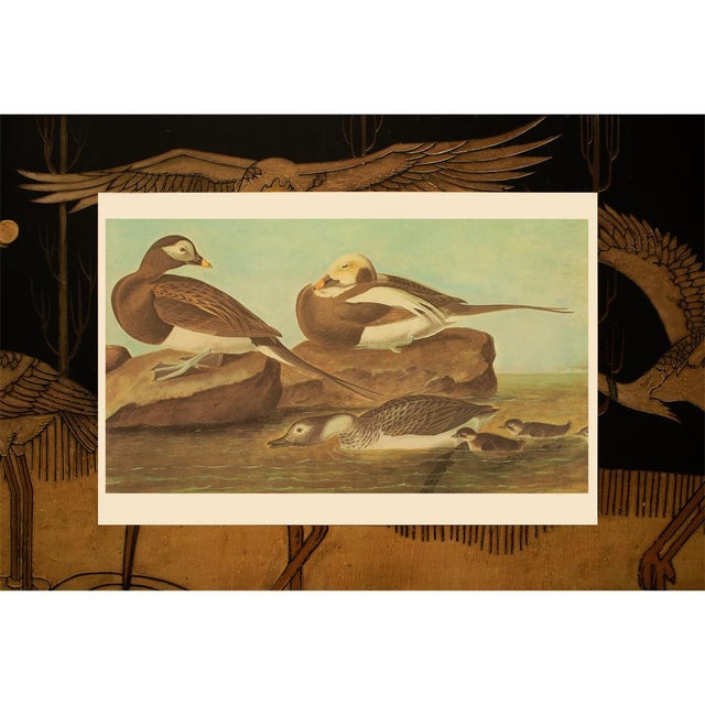 Celadon 1966 Long-Tailed Ducks After John J. Audubon, XL Cottage Print For Sale - Image 8 of 9