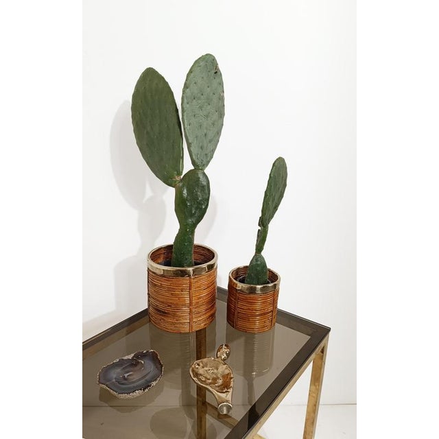 Italian Cachepot Basket in Hand-Woven Pencil Reed Rattan and Brass, 1970s For Sale - Image 6 of 18