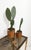 Italian Cachepot Basket in Hand-Woven Pencil Reed Rattan and Brass, 1970s For Sale - Image 6 of 18