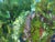 1980s 1980s Abstract Oil Painting Green Garden Dupliy Sergey Alexandrov For Sale - Image 5 of 8