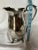 Silverplated Footed Water Pitcher by Rogers For Sale - Image 9 of 12