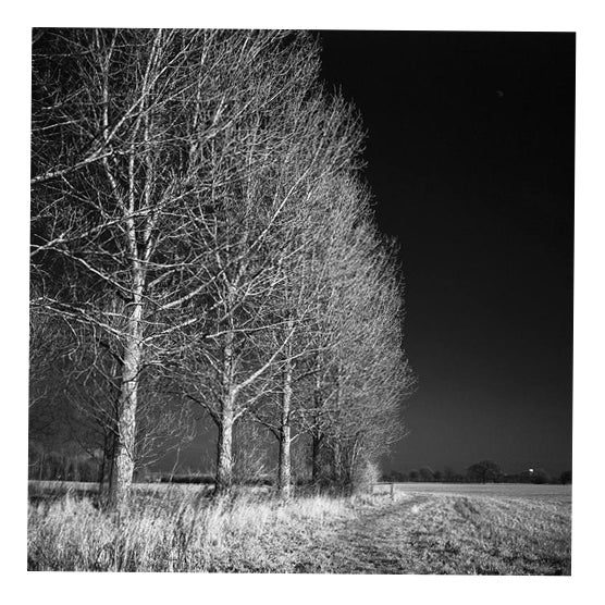 Paul Cooklin, West Thorpe I, Silver Gelatin Photograph, Limited Edition of 10 For Sale