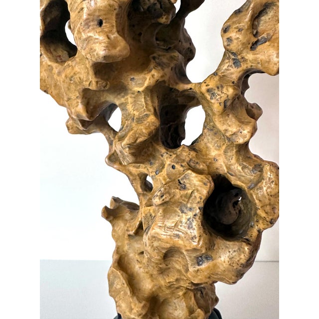 Chinese Yellow Scholar Taihu Stone on Wood Stand For Sale - Image 11 of 13