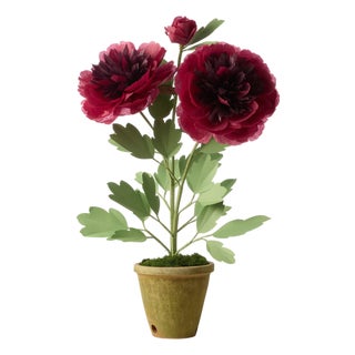 The Green Vase Charm Peony Plant in Wine For Sale
