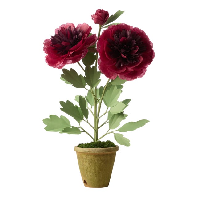 The Green Vase Charm Peony Plant in Wine For Sale