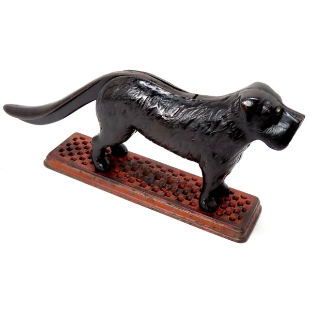 This really is a Great Looking - Very Unusual Antique Figurative Cast Iron Dog Table Top Nut Cracker. American in Origin -...
