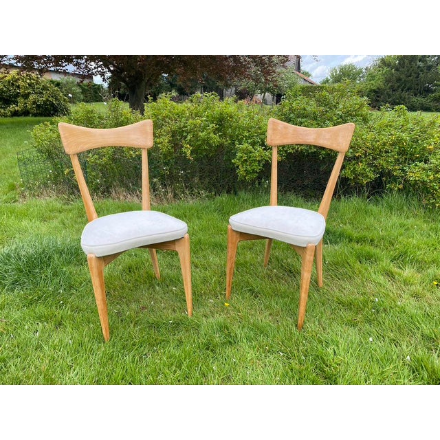 Set of Chairs by Ico Parisi for Ariberto Colombo, 1950s For Sale - Image 4 of 8