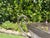 Metal Vintage Wrought Iron Leaf Form Pedestal Centerpiece Bowl For Sale - Image 7 of 12