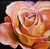 Oil on board, 26" x 26", by Yulias. This close-up portrait of a rose captures the intricate layers of its petals, rendered...