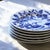 19th Century French Ironstone Plates with Vegetable Garden Decoration, 1930s, Set of 6 For Sale - Image 13 of 14