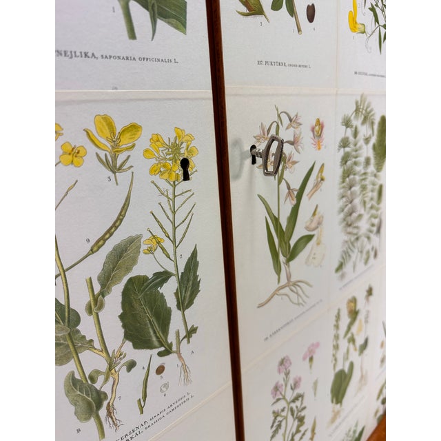 Wood 1950’s Swedish Cabinet With Nordens Flora Illustrations For Sale - Image 7 of 10