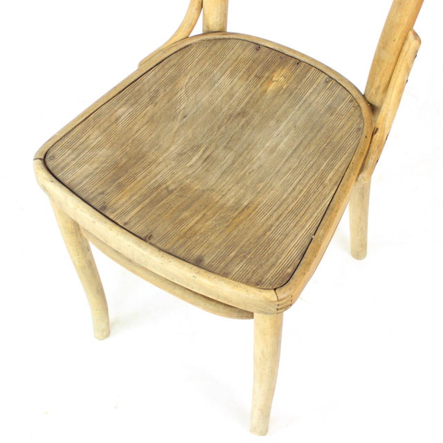 Vintage Bentwood Bistro Chairs from Thonet, 1920s For Sale - Image 10 of 14
