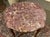 20th Century Louis XV Pedestal Table in Rosewood and Oak with Marble Top For Sale - Image 9 of 10