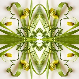 "No. 04" Contemporary Original Abstract Botanical Photograph by Erin Derby For Sale