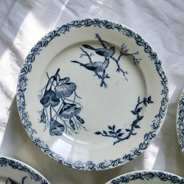 Ceramic French Plates with Birds by Onnaing, 1875, Set of 6 For Sale - Image 7 of 12