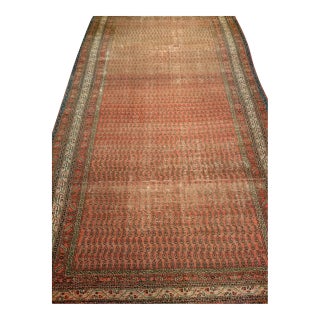 Antique Persian Saraband Gallery Area Rug, Hand-Knotted Wool, Allover Paisley Pattern, 7x12, Terracotta & Green For Sale