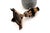 Metal Silver Pineapple-Shaped Toothpick Holder For Sale - Image 7 of 8