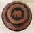 Paper Antique Burmese Lacquer Lidded Jar, Elephant, Red & Black, 5 1/2” X 4 1/2” T For Sale - Image 7 of 12