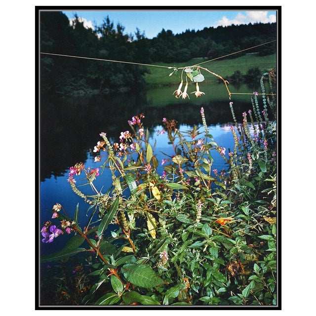 Realism Arrangement #6, Collier Schorr For Sale - Image 3 of 5