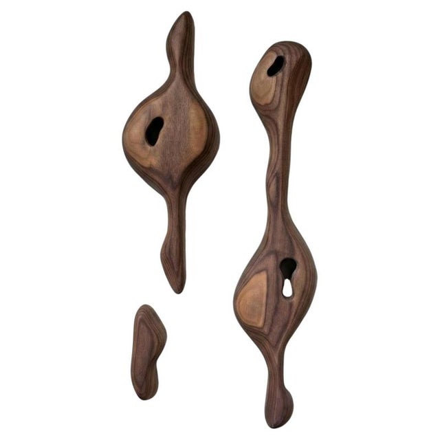 Cortex 8 American Walnut Sculpture by Camille De Prêtre For Sale - Image 6 of 6