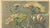 French Country 1902 Antique French Art Nouveau Botanical Chromolithograph--Ombelles, Matted For Sale - Image 3 of 4