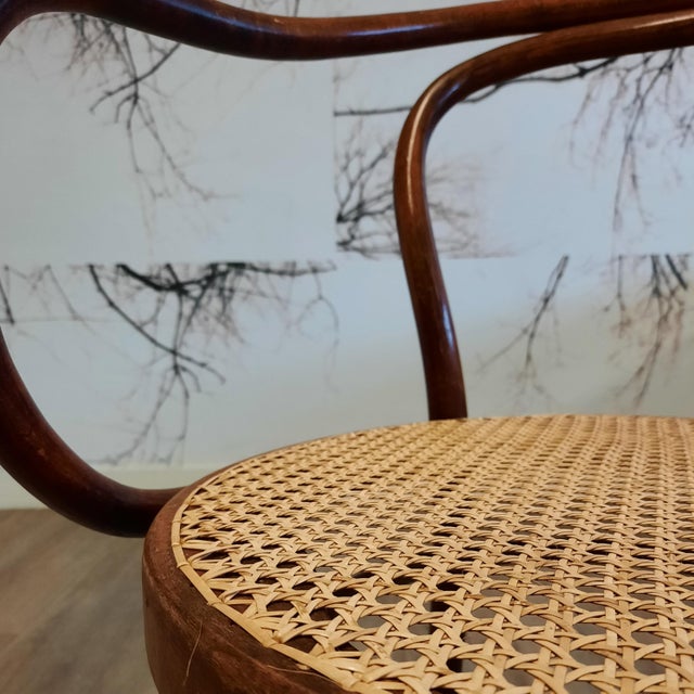 No. 209 Armchairs in Bentwood and Rattan from Ligna, 1970s, Set of 4 For Sale - Image 10 of 13