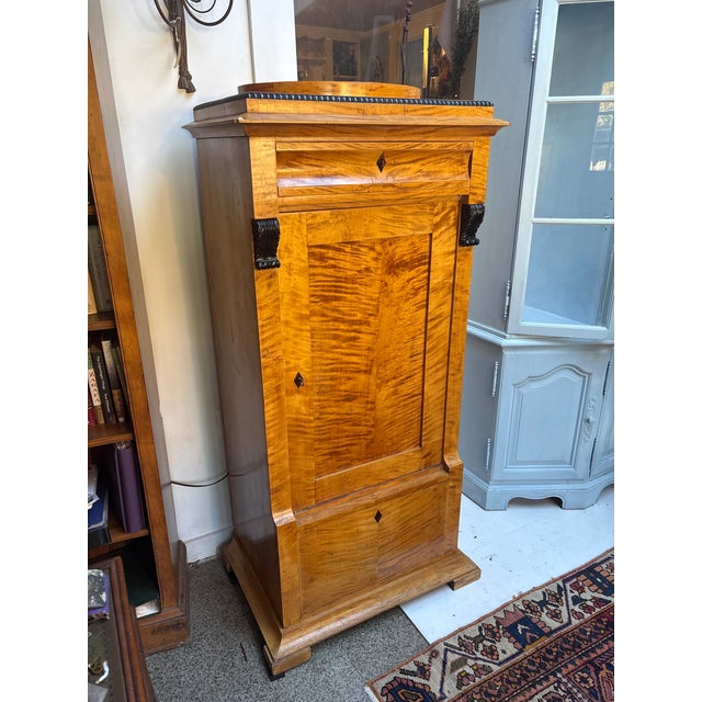 Transitional Mid 19th Century Biedermeier Style Tall Cabinet For Sale - Image 3 of 15