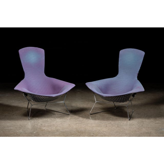 1970s Bird Chair by Herry Bertoia Bird for Knoll For Sale - Image 10 of 13