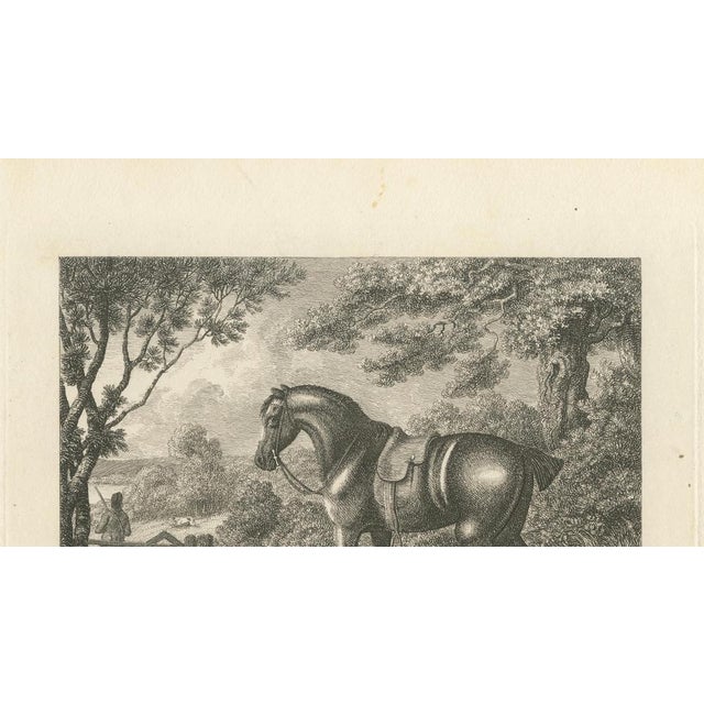 Gold Samuel Howitt, Shooting Pony, 1799, Engraving For Sale - Image 8 of 10