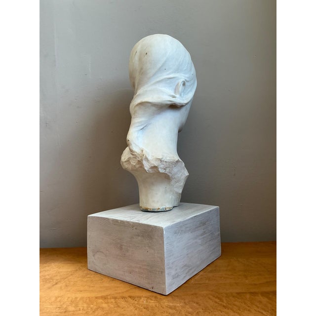 Vintage Carved Marble Head Sculpture For Sale In West Palm - Image 6 of 18
