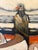 Mid-Century Modern Large Vintage Impasto Painting by Ferrante -Canoe Painting, Signed Framed Original Art 46x38 Inches For Sale - Image 3 of 10