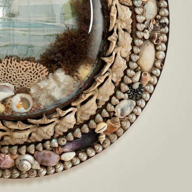 Antique British Colonial Sailors Valentine With Seashells For Sale In West Palm - Image 6 of 8