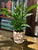 This shell encrusted planter or cache pot reveals something new each time you view it. The entire surface of the ceramic...