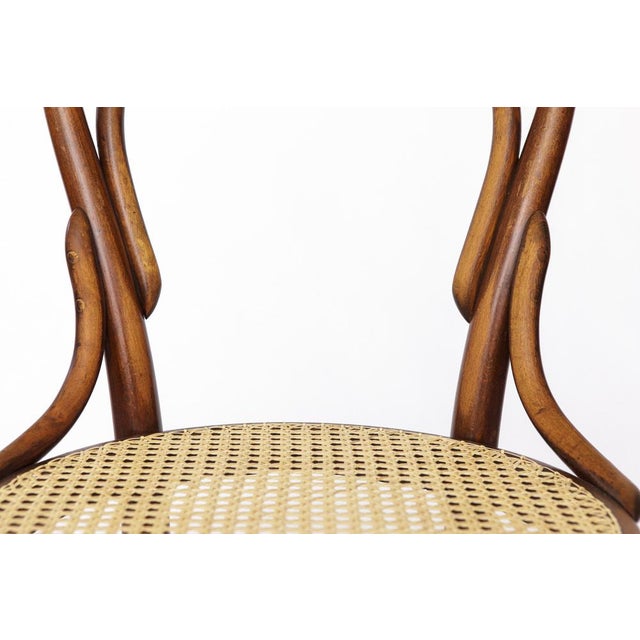 1920s Antique No. 14 Chair Viennese Coffee House Bentwood Chair with Cane Seat by Michael Thonet for Thonet, 1920s For Sale - Image 5 of 10