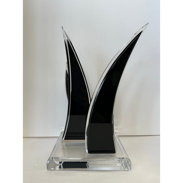 Signed David Muniz Acrylic/Lucite Sculpture - Unique Art Piece in Transparent and Black Onyx This distinctive...