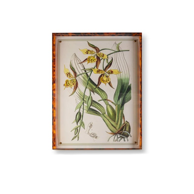 Light Green Spring Orchid I Giclee in Tortoise Frame For Sale - Image 8 of 8