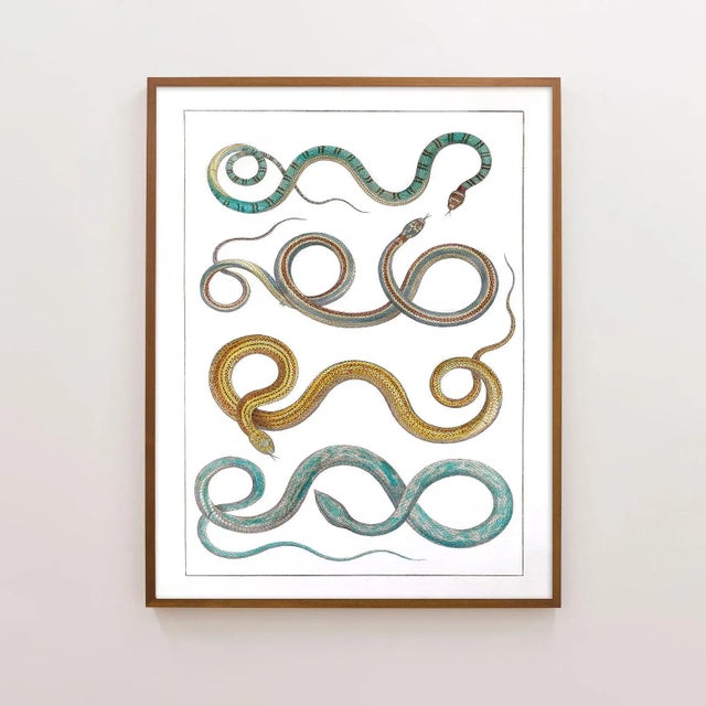 This restored antique print from Germany has a beautiful palette of desert turquoise and sandy yellows. Unframed print on...