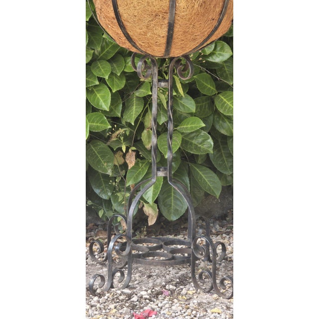 1930s Iron Planters, 1930, Set of 2 For Sale - Image 5 of 10