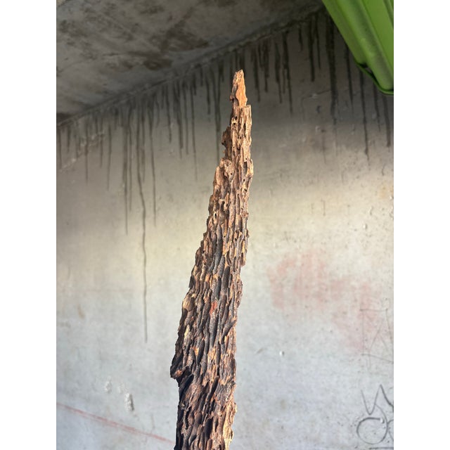 Mid 20th Century Vintage Coastal Oyster Worn Cedar Poles on Black Bases, Pair For Sale - Image 5 of 7