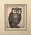 RARE! Circa 1960s Carolyn Millard Limited Edition 42/200 OWL Etching Signed Aprox. dimensions: Frame: 11"H x 9"W Sight...